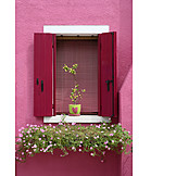   Pink, Fensterladen, Burano