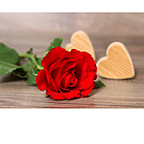  Liebe, Valentinstag, Rote rose