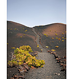   Trail, Volcanic Landscape